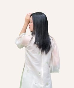 áo dài Việt Nam