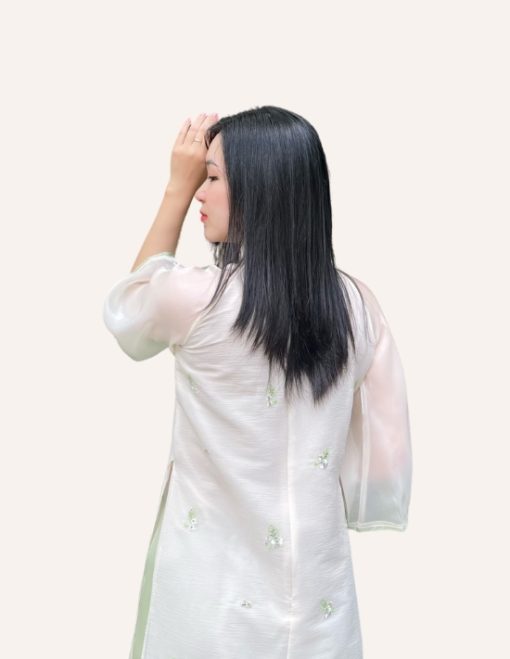 áo dài Việt Nam